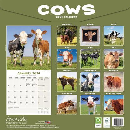 Cows Wall Calendar 2026
