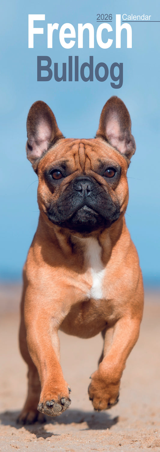 French Bulldog Slim Calendar 2026