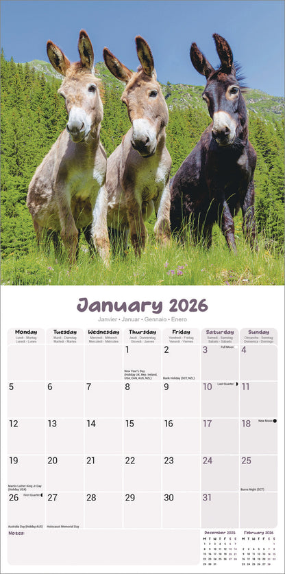 Donkeys Wall Calendar 2026