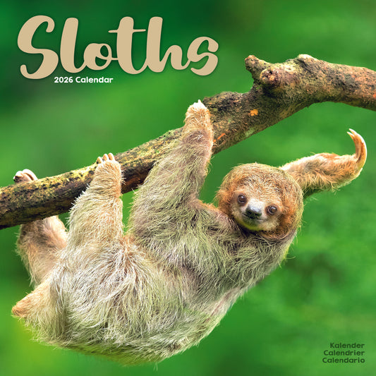 Sloths Wall Calendar 2026