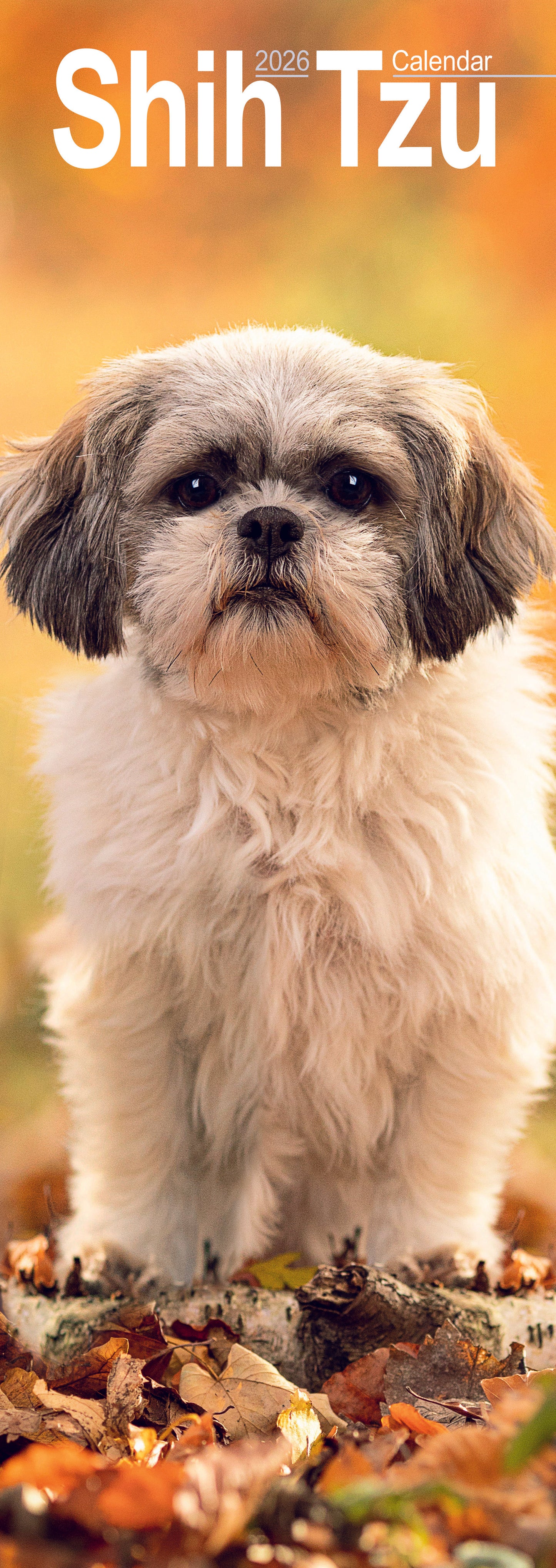 Shih Tzu Slim Calendar 2026