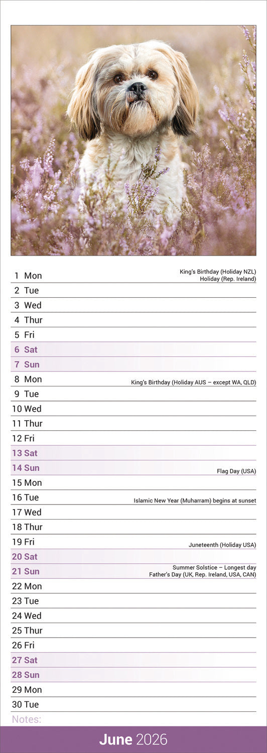 Shih Tzu Slim Calendar 2026