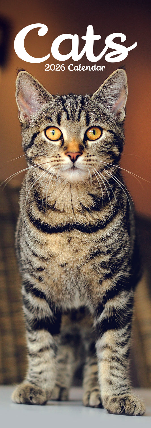 Cats Slim Calendar 2026