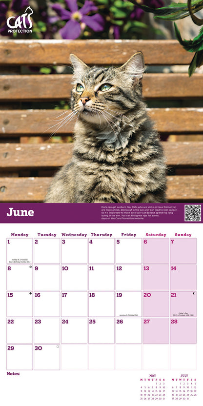 Cats Protection Wall Calendar 2026