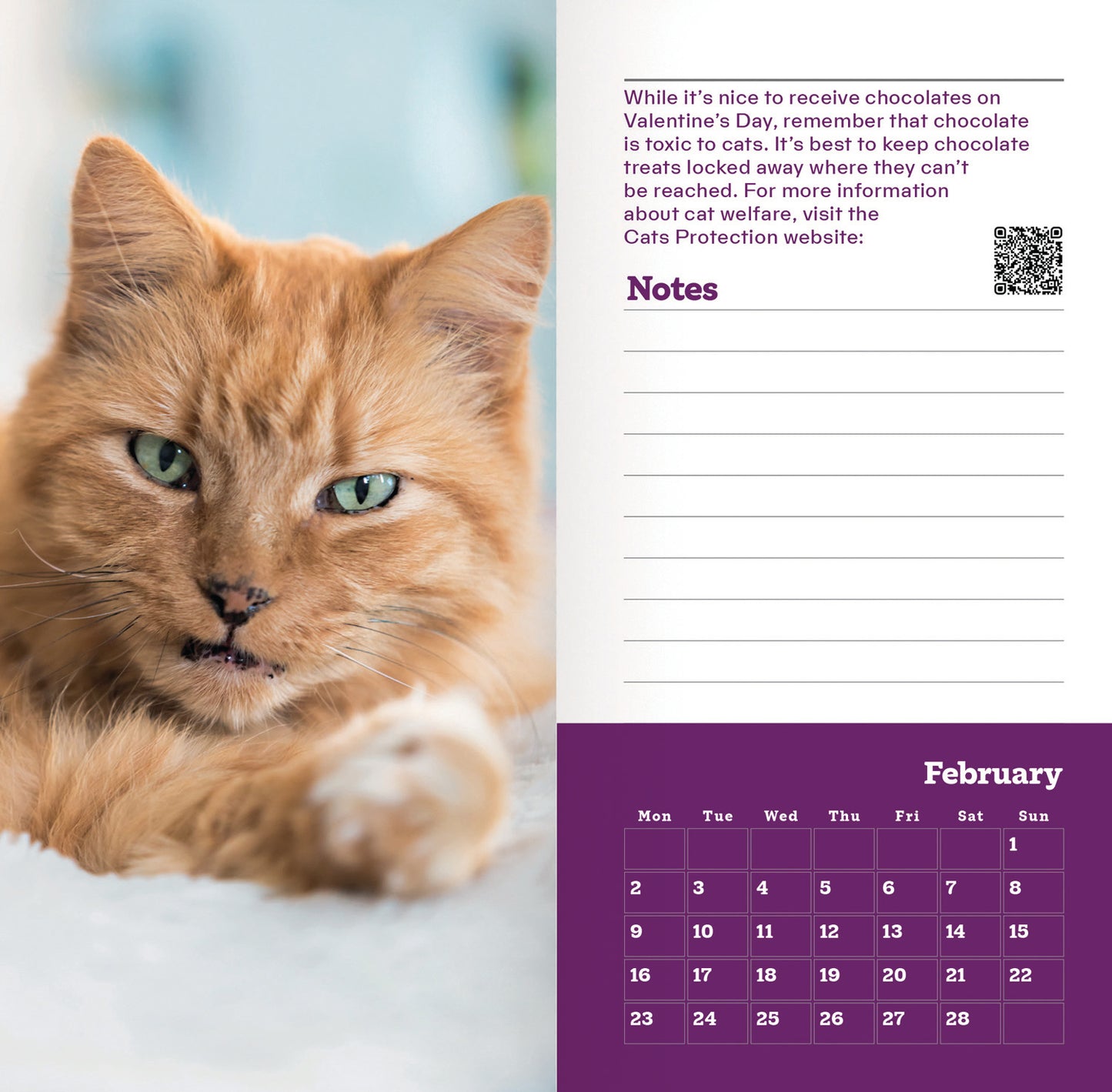 Cats Protection Slim Dlx Diary 2026