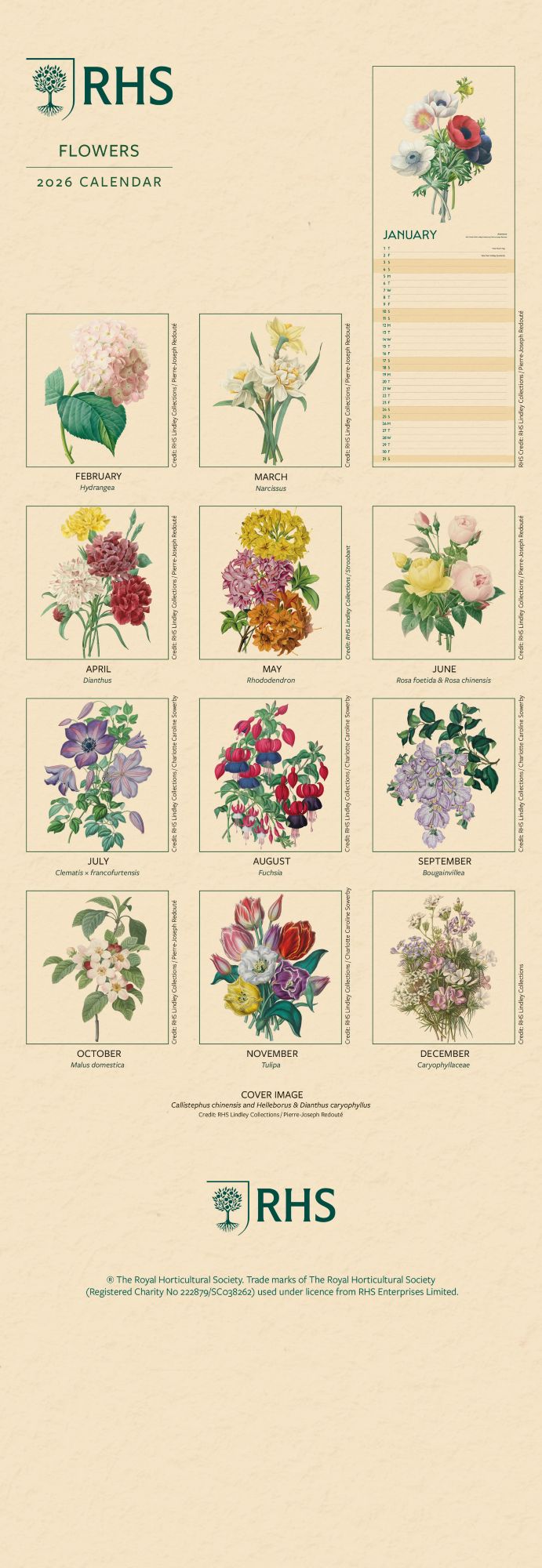 RHS Slim Calendar 2026