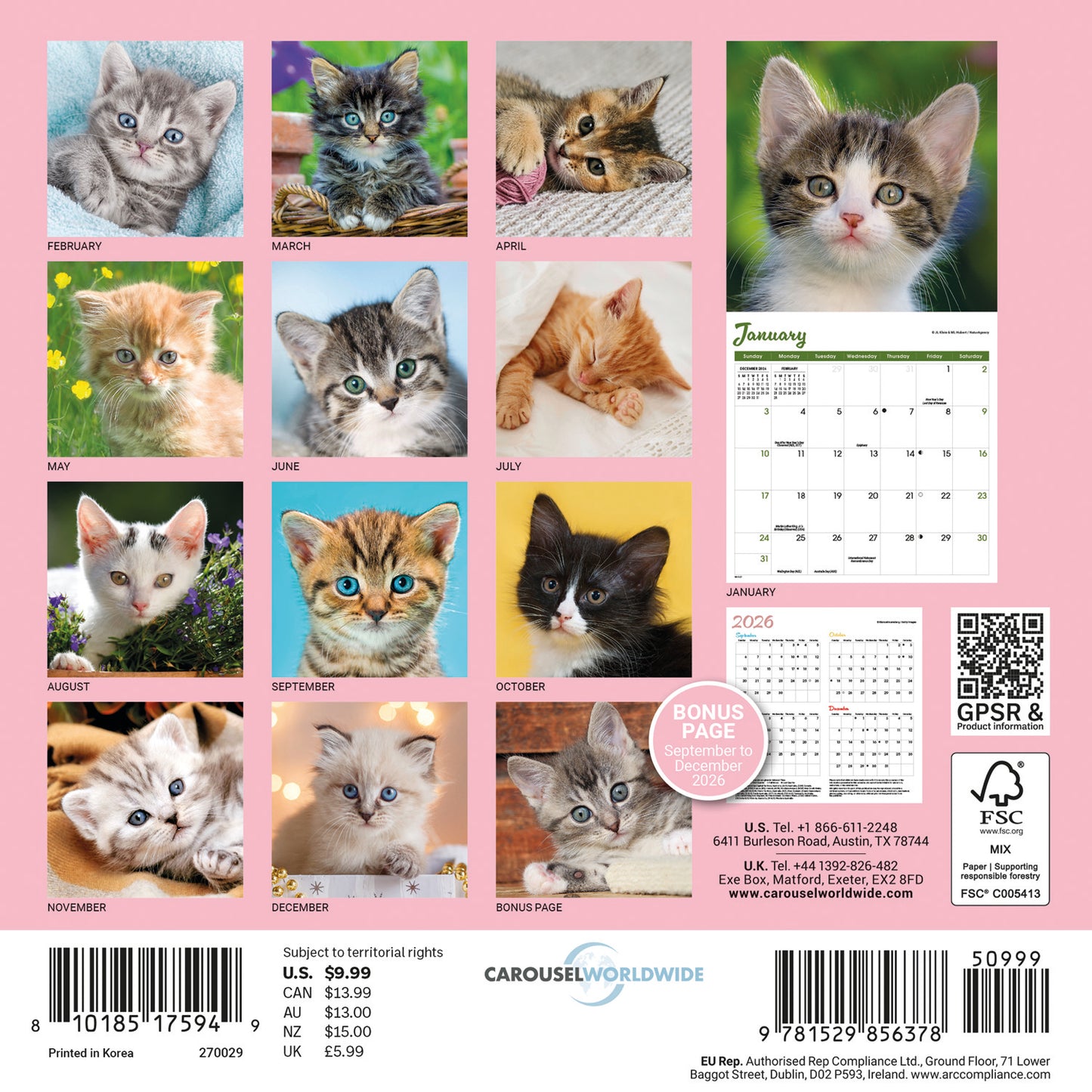 Kittens Mini Calendar 2027