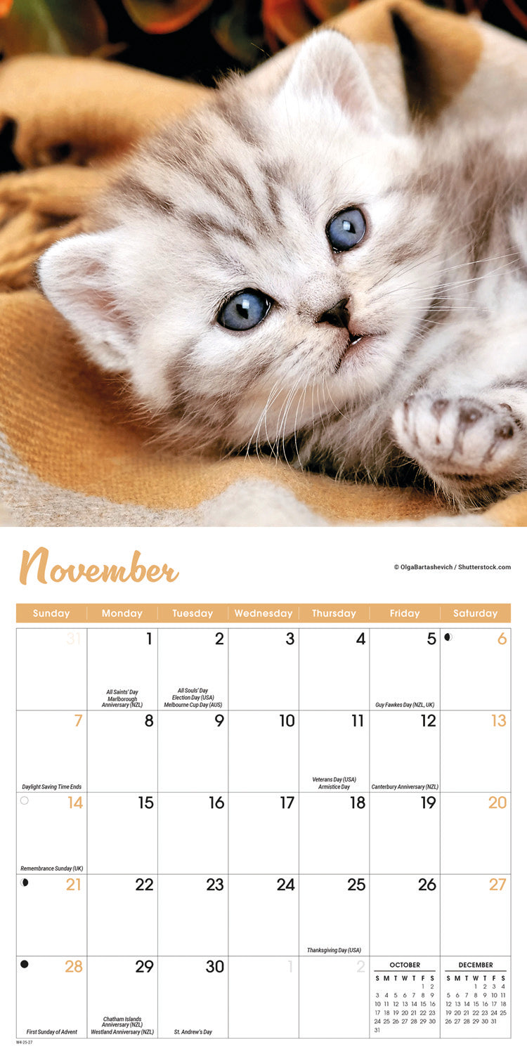 Kittens Mini Calendar 2027