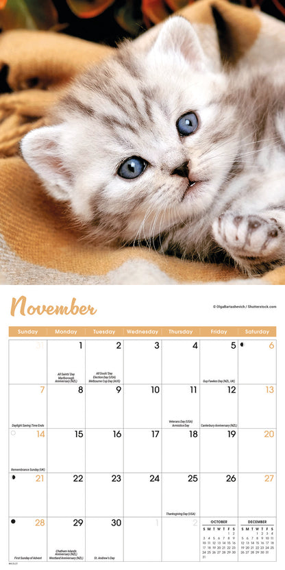 Kittens Mini Calendar 2027