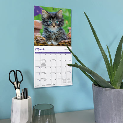 Kittens Mini Calendar 2027