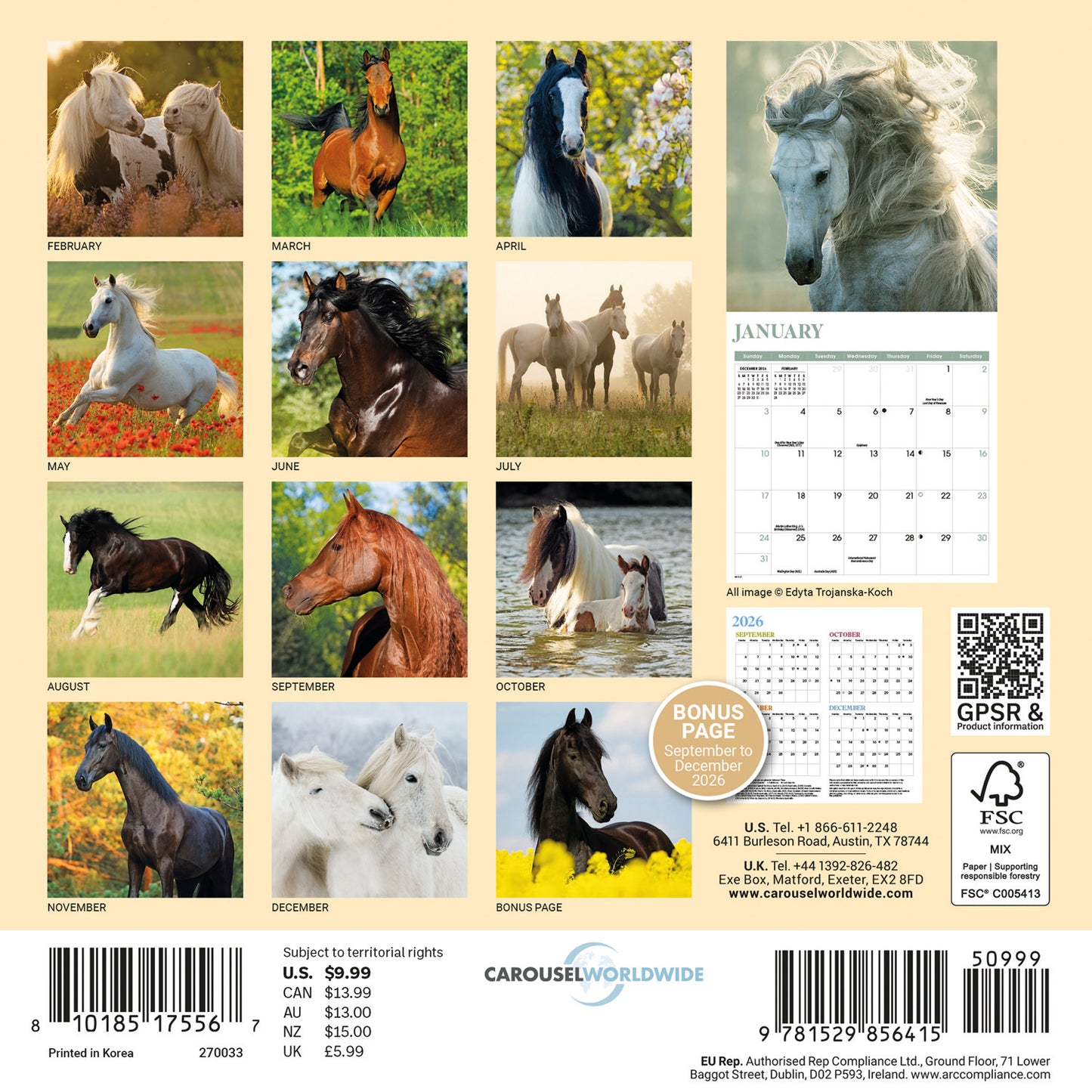 Horses Mini Calendar 2027