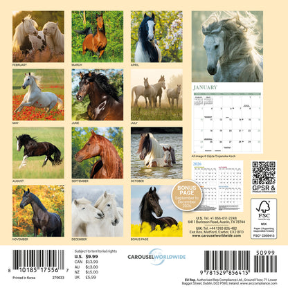 Horses Mini Calendar 2027