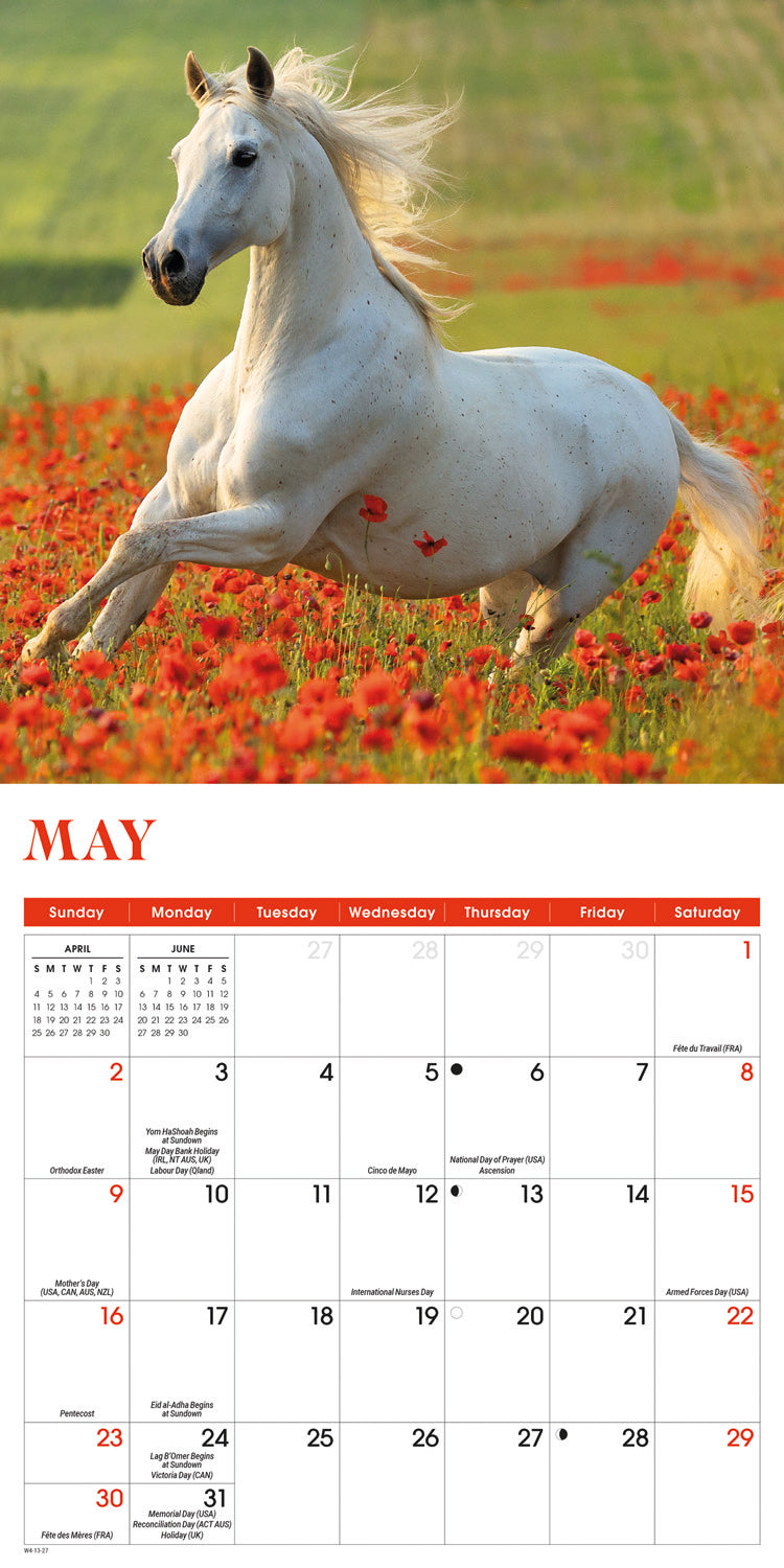 Horses Mini Calendar 2027