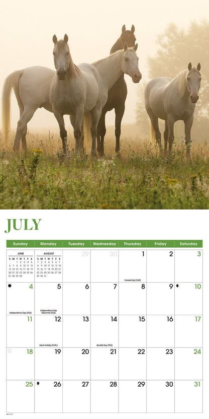 Horses Mini Calendar 2027