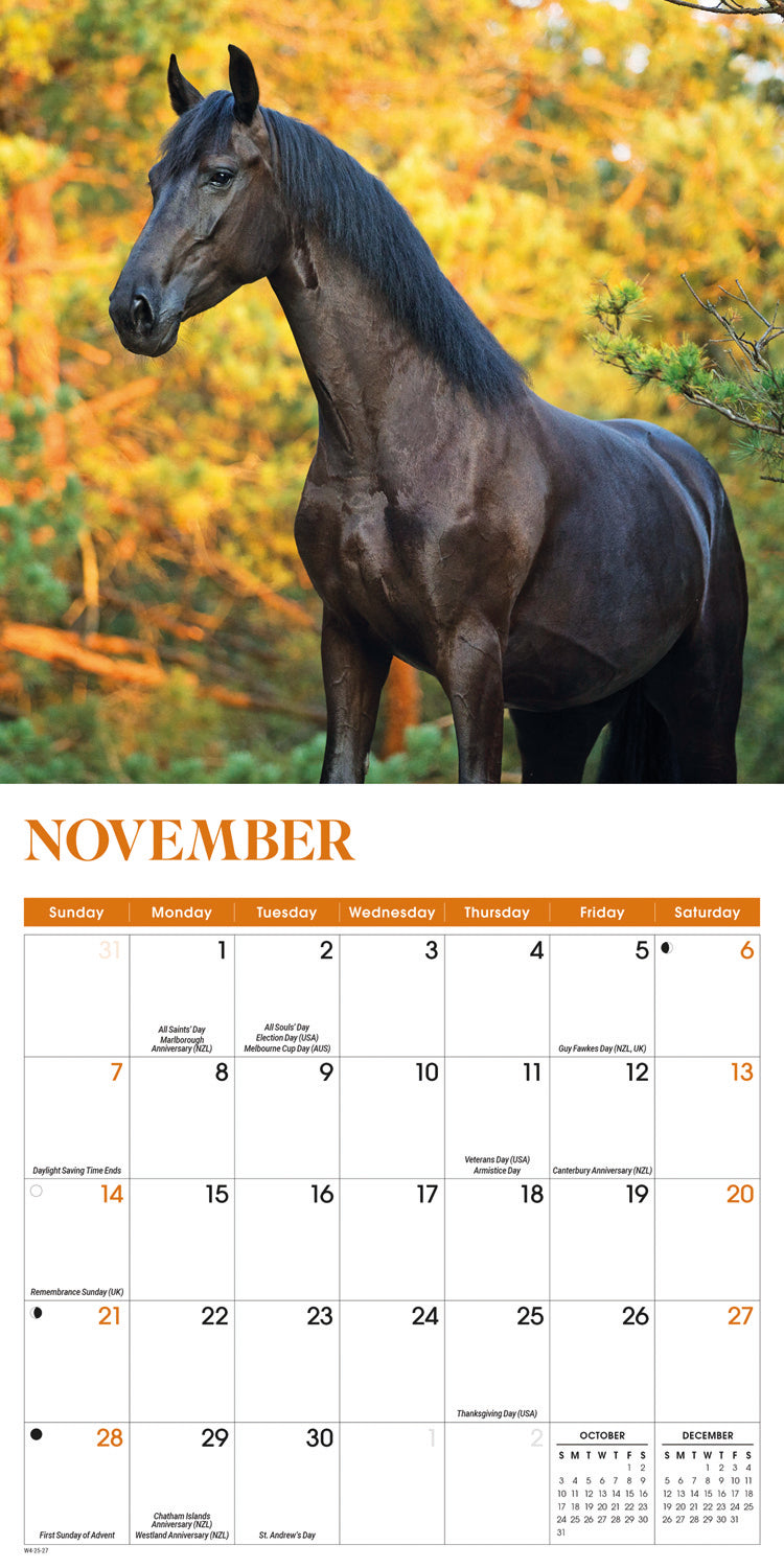 Horses Mini Calendar 2027
