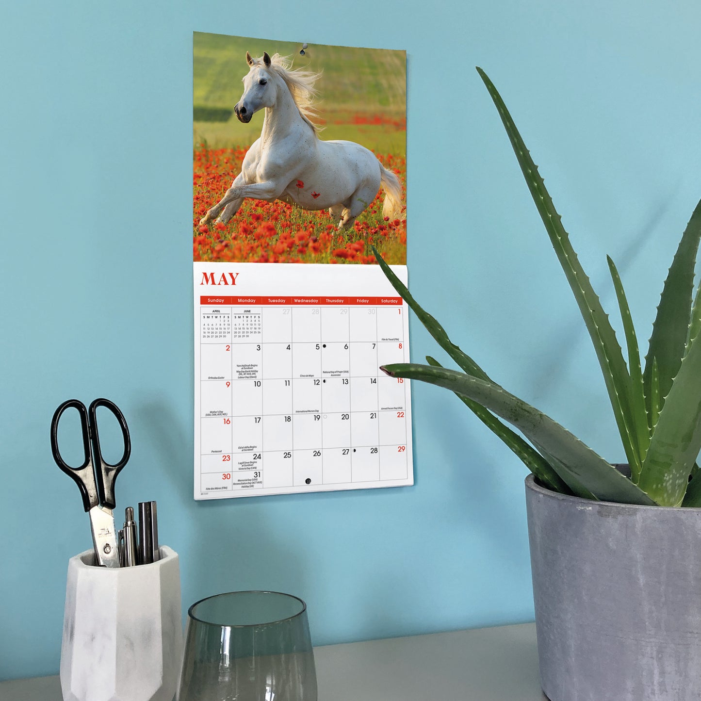 Horses Mini Calendar 2027