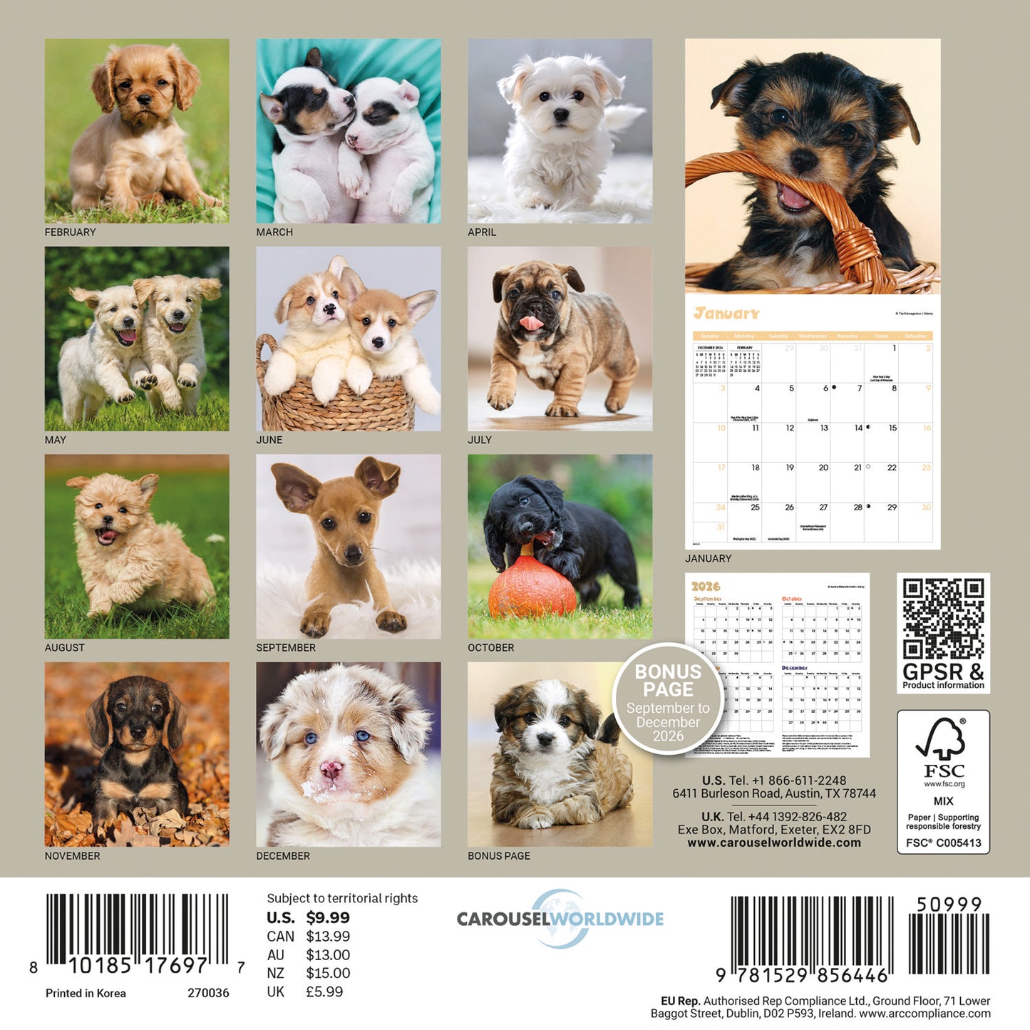 Puppies Mini Calendar 2027