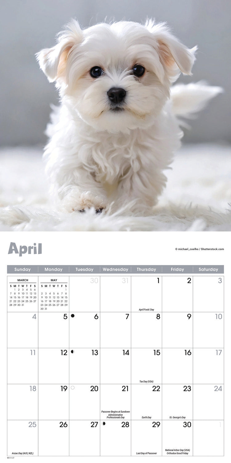 Puppies Mini Calendar 2027