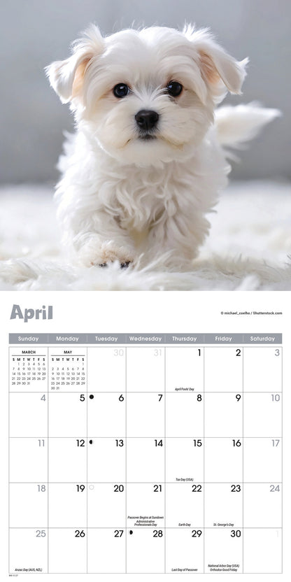 Puppies Mini Calendar 2027