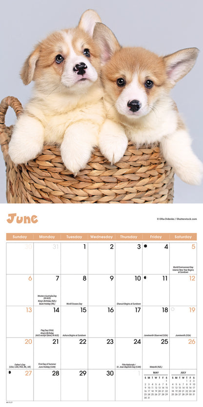 Puppies Mini Calendar 2027