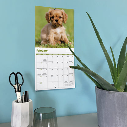 Puppies Mini Calendar 2027