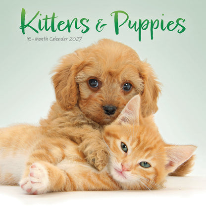 Kittens & Puppies Mini Calendar 2027