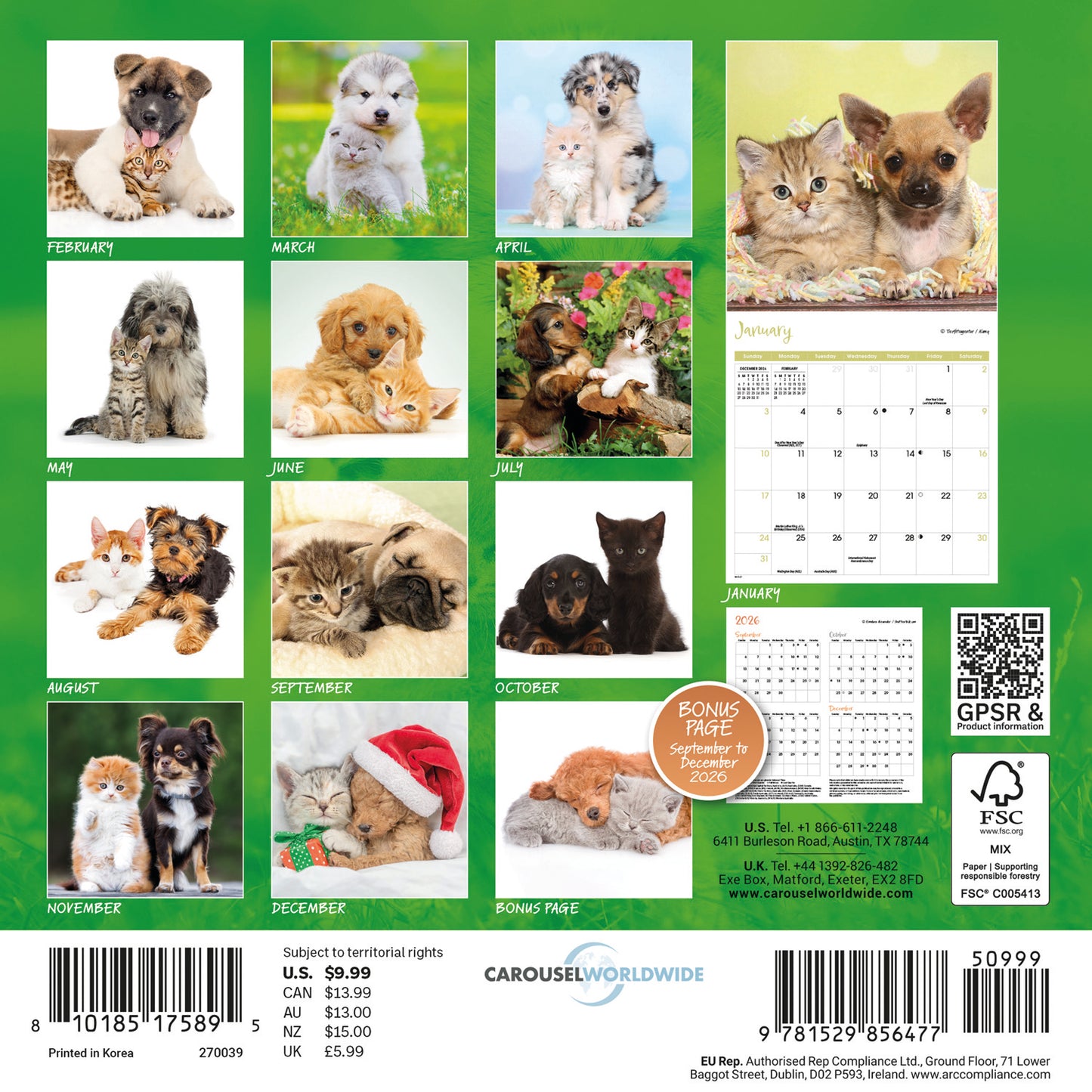 Kittens & Puppies Mini Calendar 2027