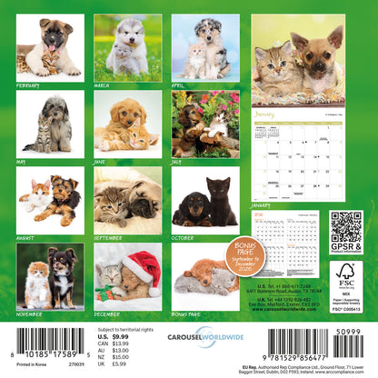 Kittens & Puppies Mini Calendar 2027