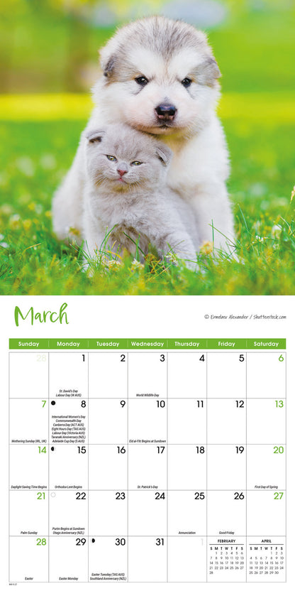 Kittens & Puppies Mini Calendar 2027