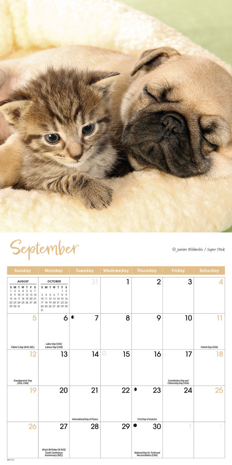 Kittens & Puppies Mini Calendar 2027