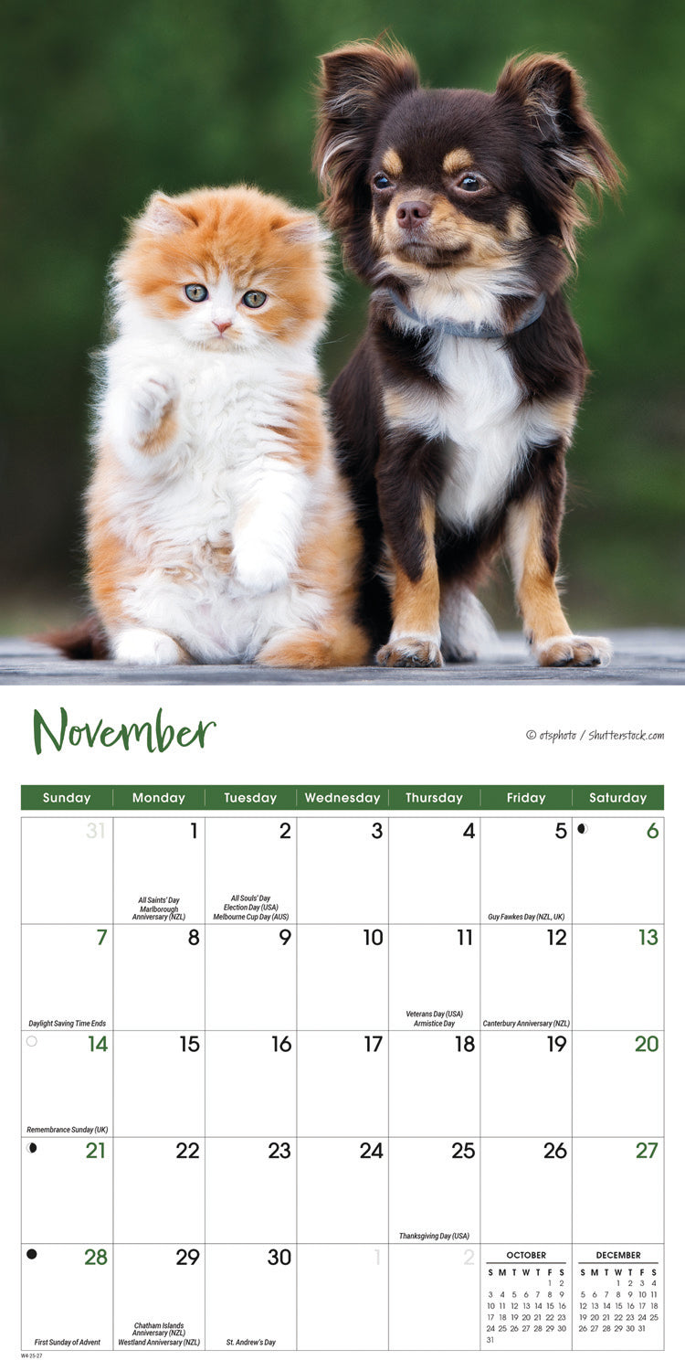 Kittens & Puppies Mini Calendar 2027