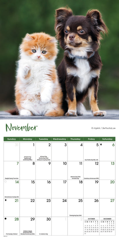 Kittens & Puppies Mini Calendar 2027