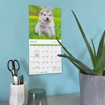 Kittens & Puppies Mini Calendar 2027