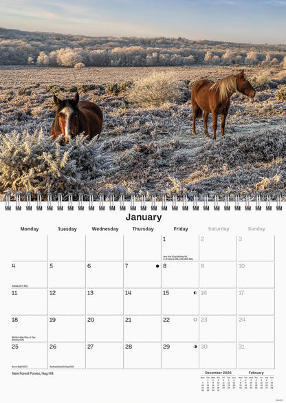 Hampshire A5 Calendar 2027