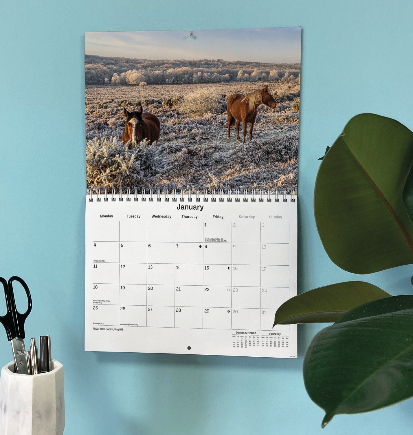 Hampshire A5 Calendar 2027