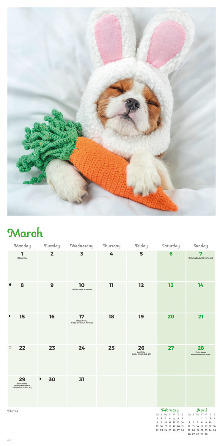 Dogs in Disguise Wall Calendar 2027