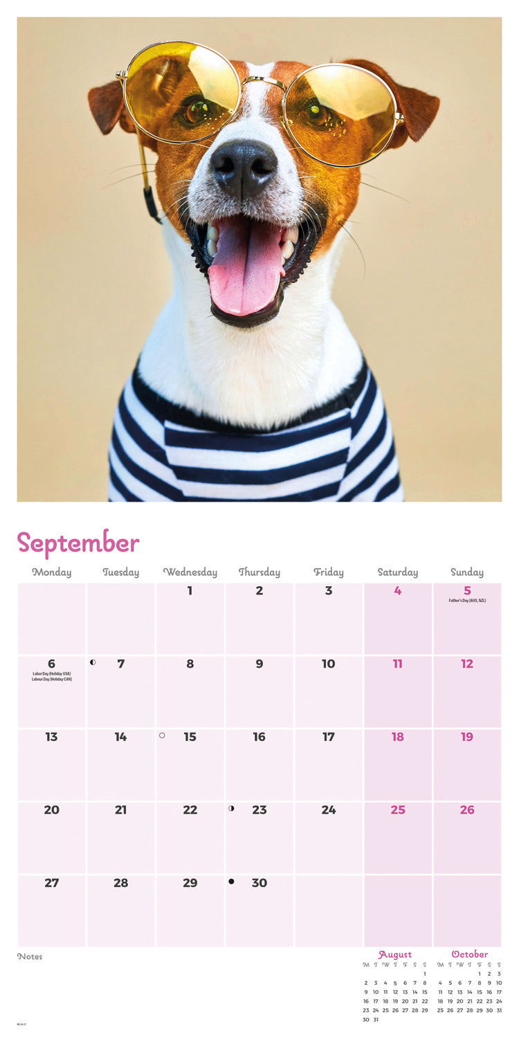 Dogs in Disguise Wall Calendar 2027