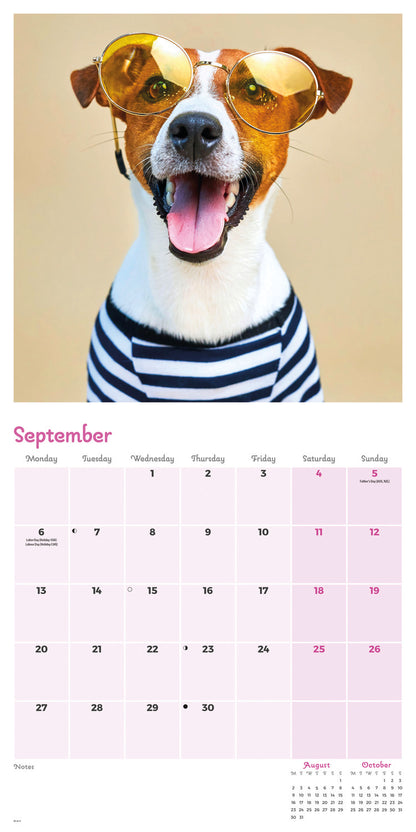Dogs in Disguise Wall Calendar 2027