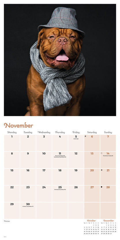 Dogs in Disguise Wall Calendar 2027