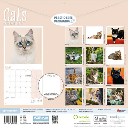 Cats Wall Calendar 2027