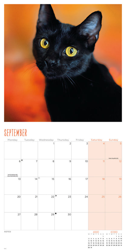 Cats Wall Calendar 2027