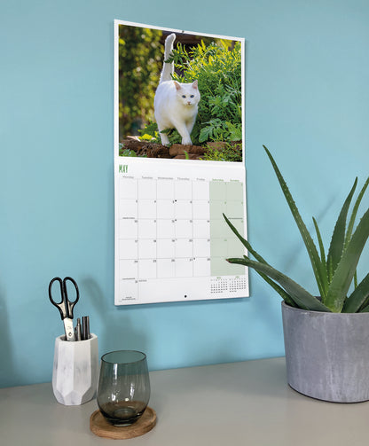 Cats Wall Calendar 2027