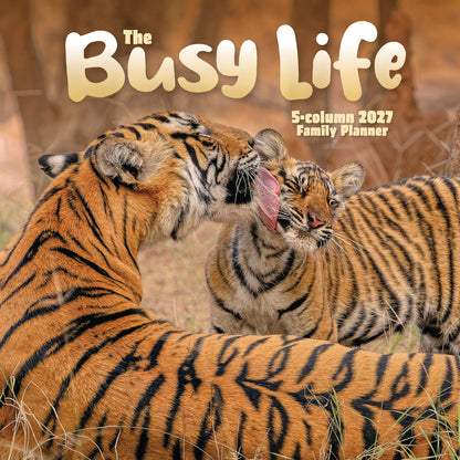 Busy Life Planner Wall Calendar 2027