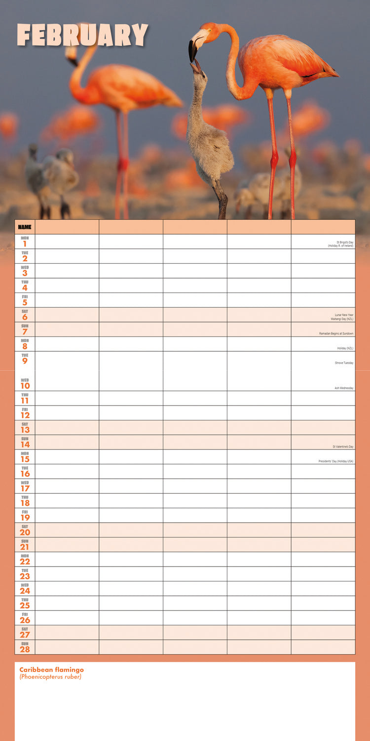 Busy Life Planner Wall Calendar 2027