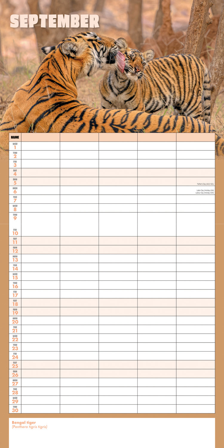 Busy Life Planner Wall Calendar 2027