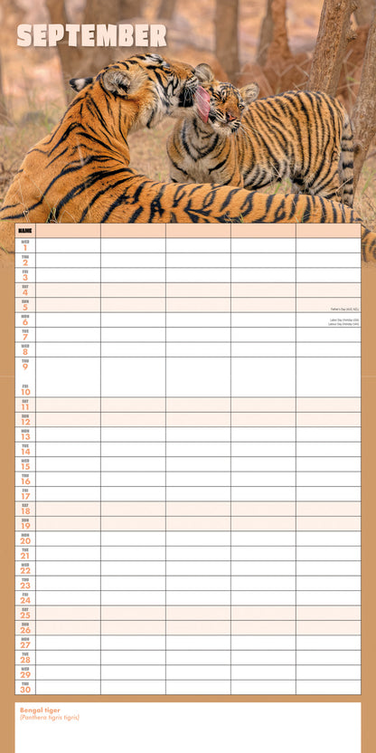 Busy Life Planner Wall Calendar 2027