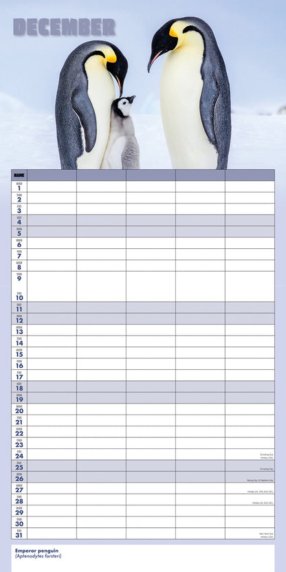 Busy Life Planner Wall Calendar 2027