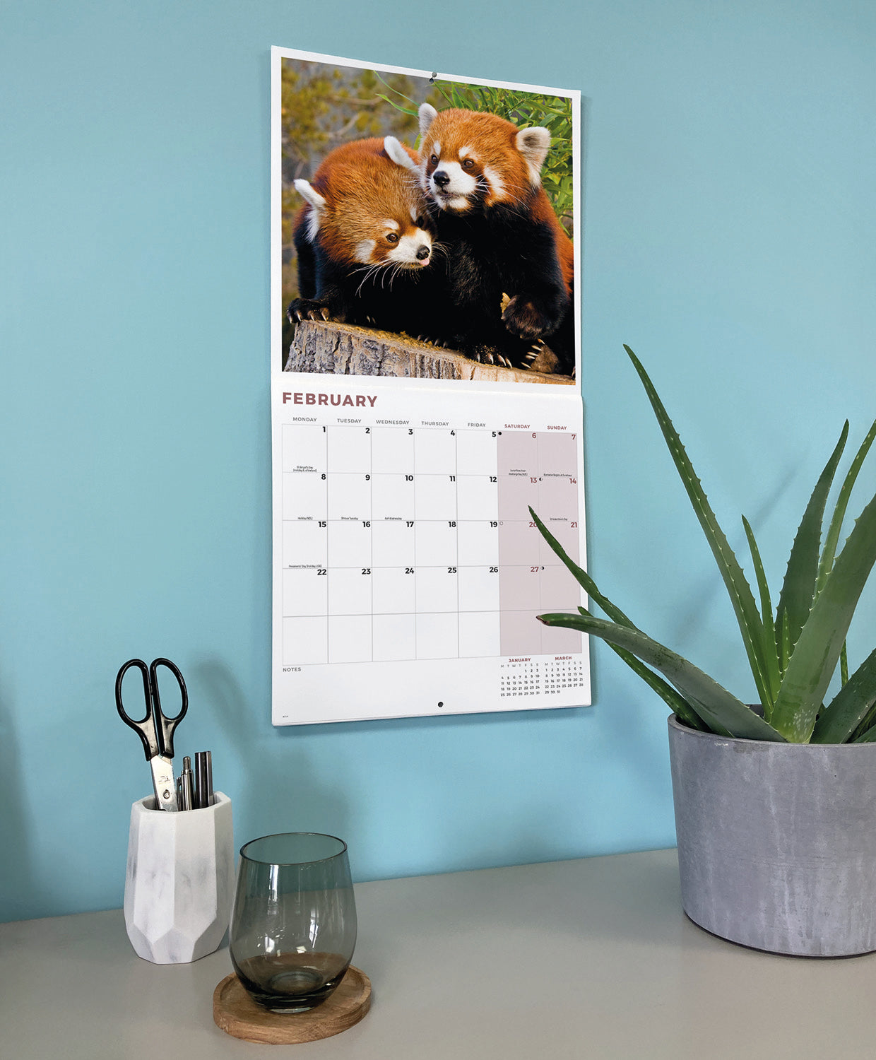 Red Pandas Wall Calendar 2027