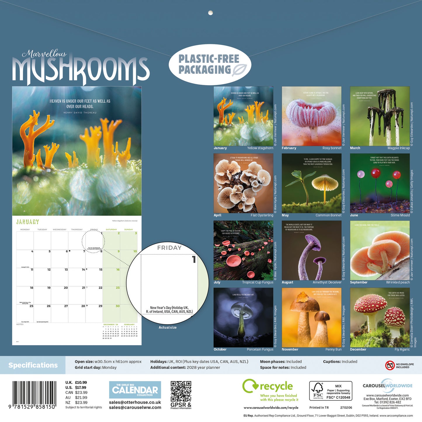 Marvellous Mushrooms Wall Calendar 2027