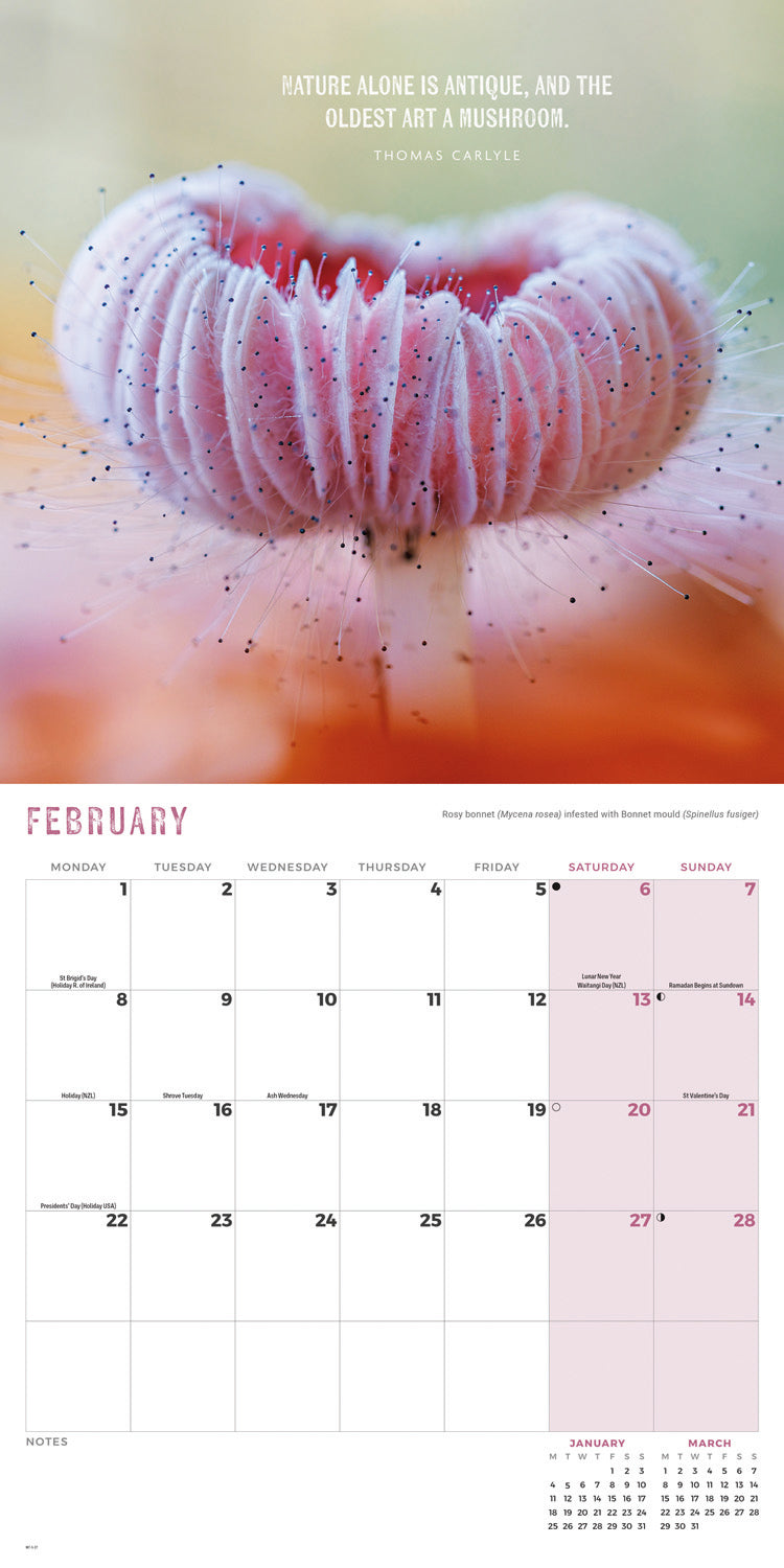 Marvellous Mushrooms Wall Calendar 2027